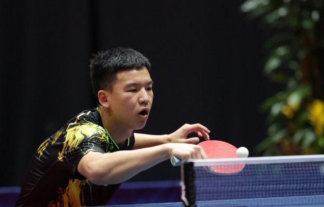 施尚处于投 施尚处于投