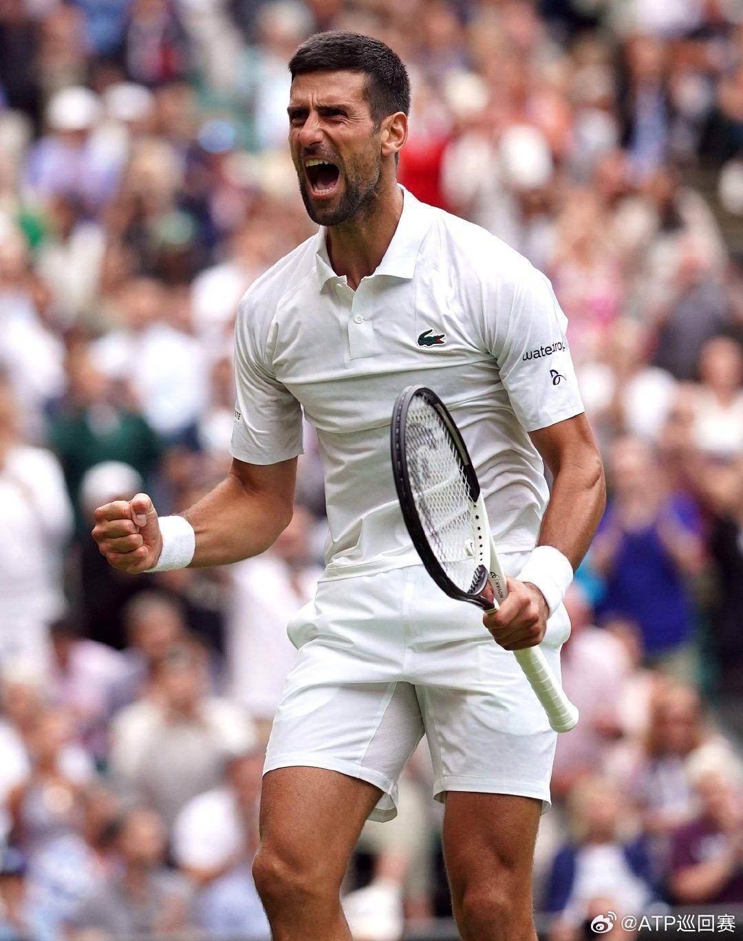 锦赛大决赛 锦赛大决赛